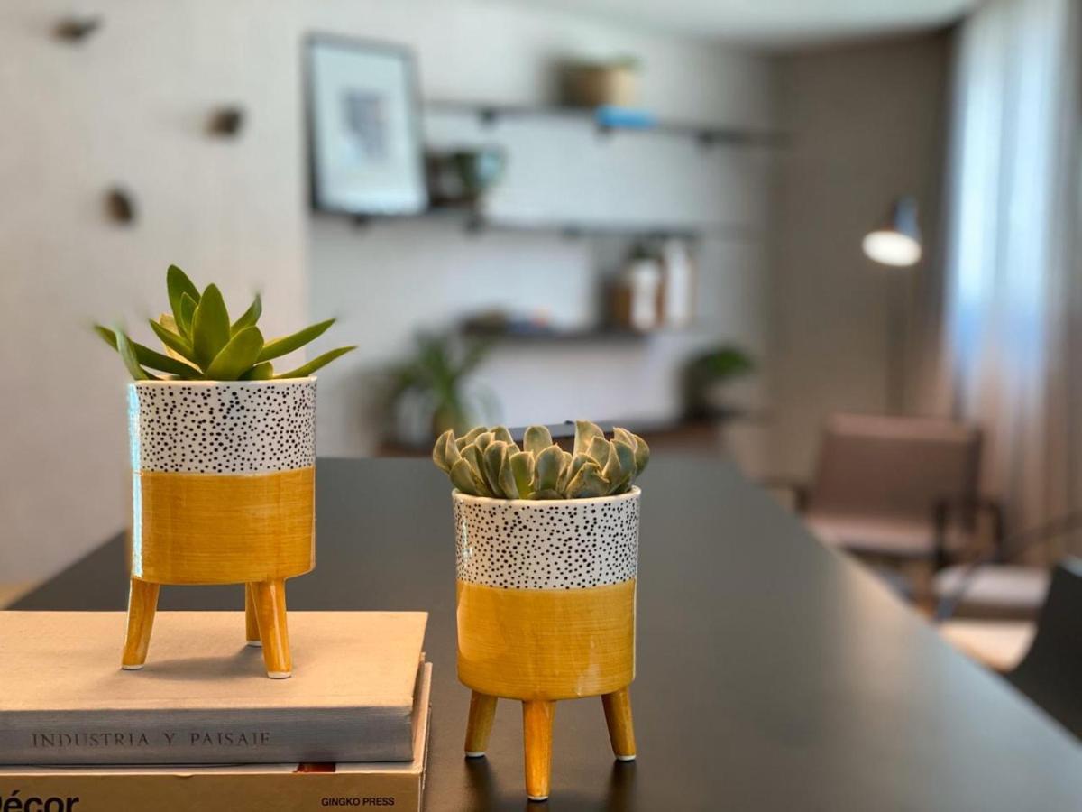 래디슨 오스카 프레이레 호텔 상파울루 외부 사진 Succulents in a home